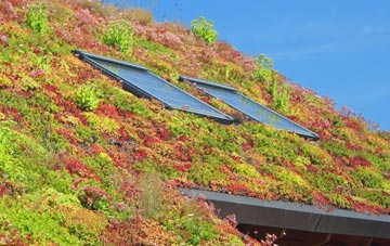 Bewsey living roof systems